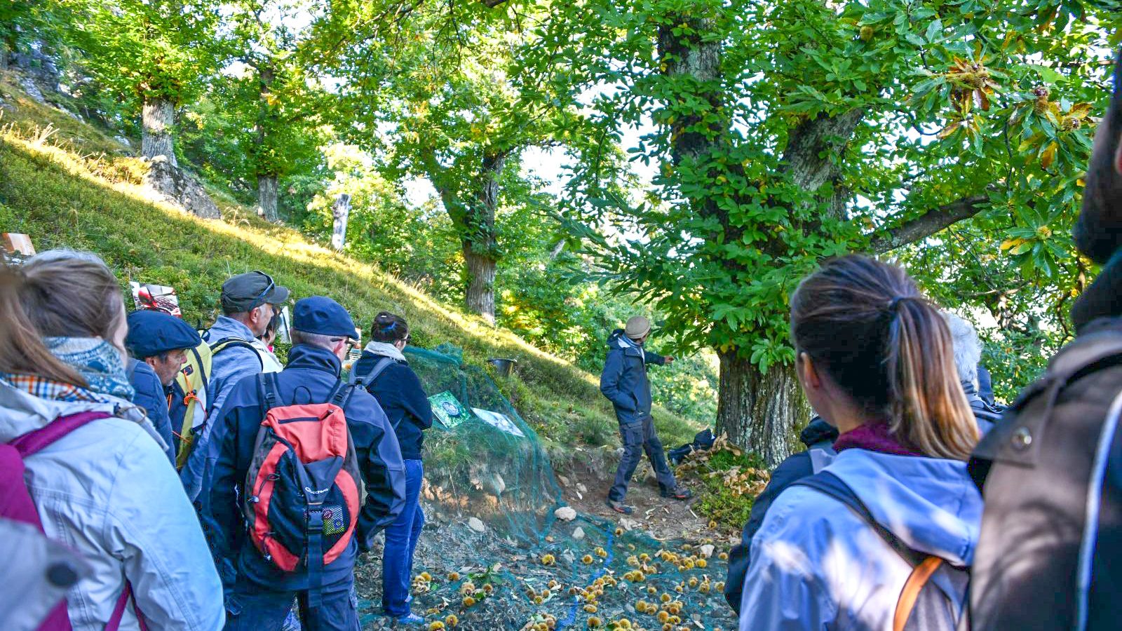 Les balades gourmandes de l’automne