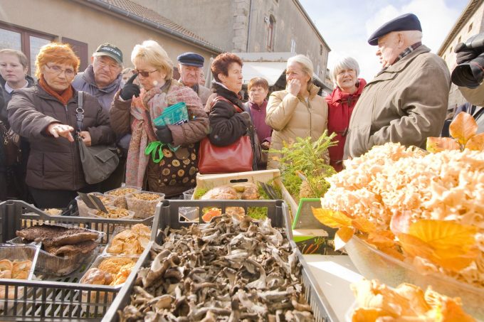 Fête des champignons