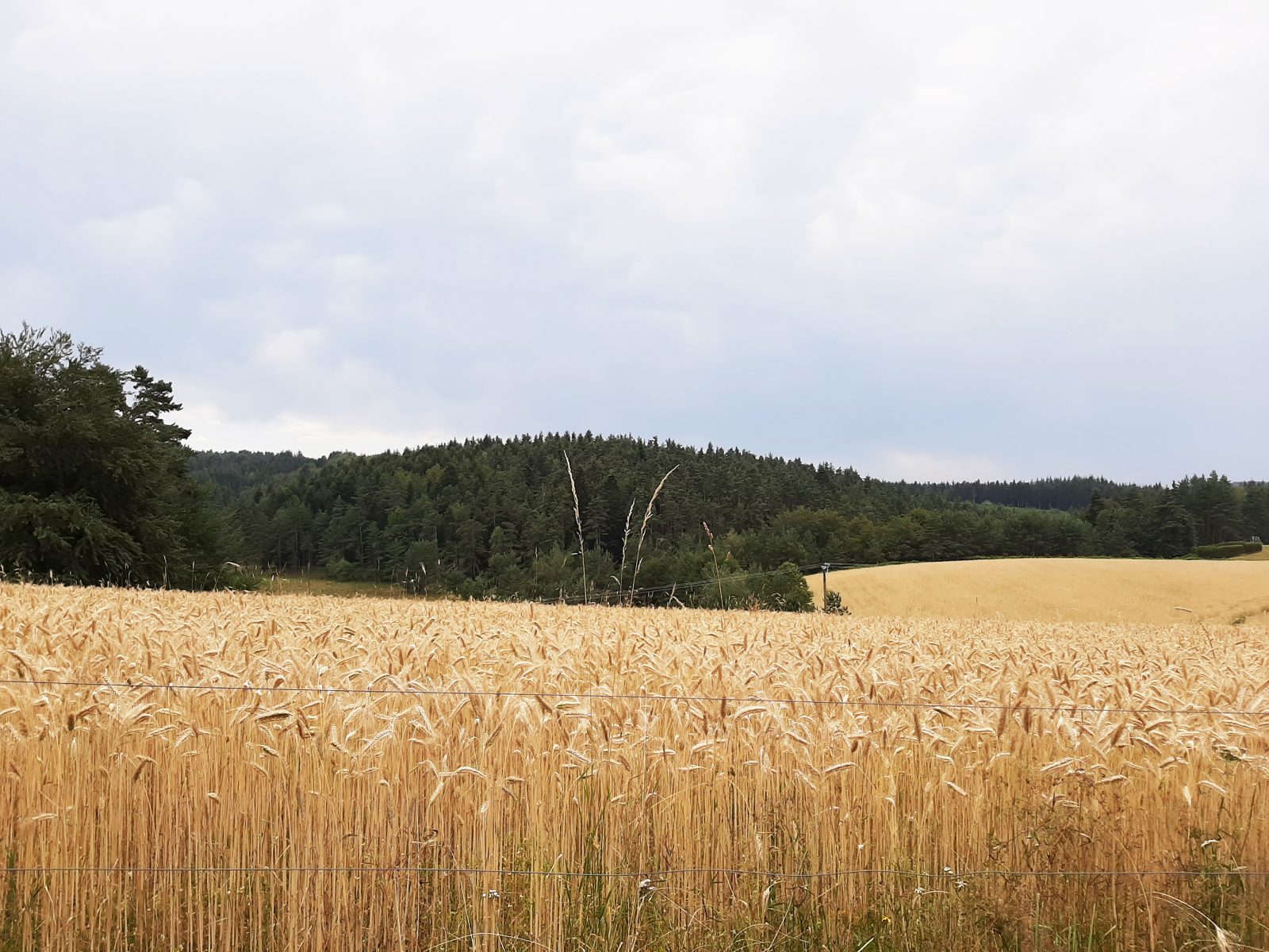 Fichier:Le Chauffe-lit.jpg — Wikipédia