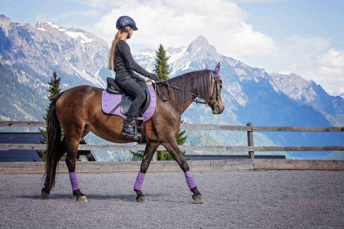 Équitation