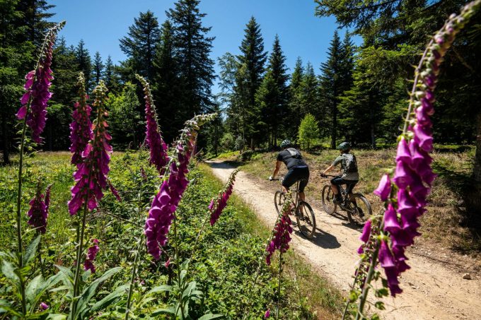 GTA VTT Saint-André en Vivarais