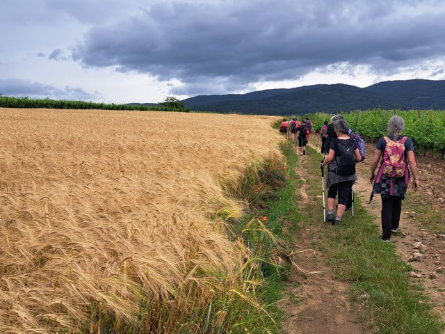 Rando Saint-Agrévoise, La rando, c’est le pied_Saint-Agrève