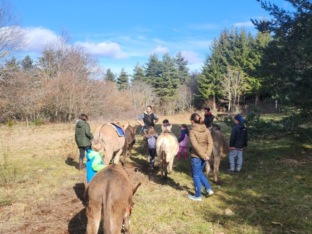 Chasse au trésor avec un âne