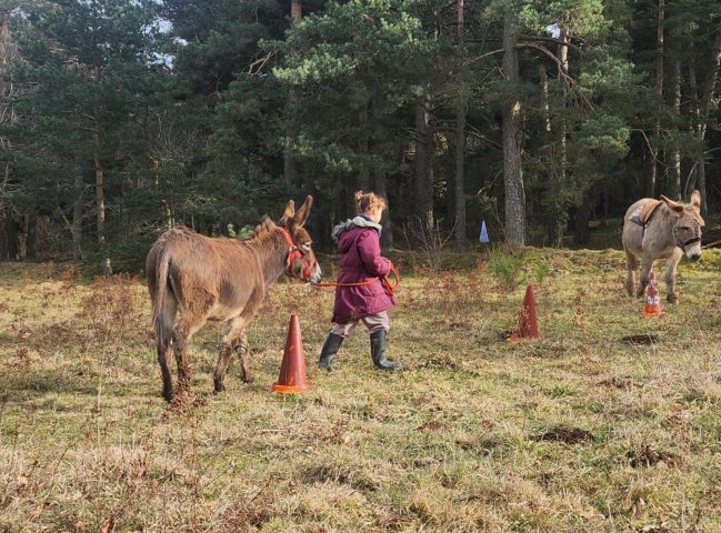 Chasse au trésor avec un âne_Saint Julien d’Intres