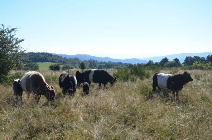 Ferme du Grand Freydier