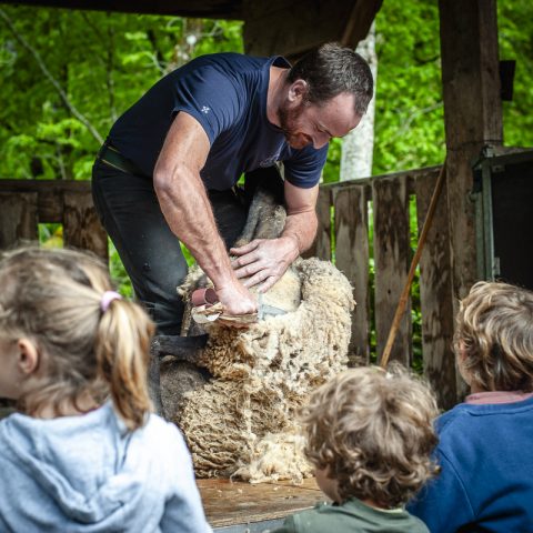 Journée spéciale de démonstration de tonte_Saint-Pierreville